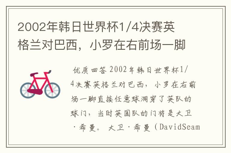 2002年韩日世界杯1/4决赛英格兰对巴西，小罗在右前场一脚直接任意球洞穿了英队的球门，问当时英队的门将是