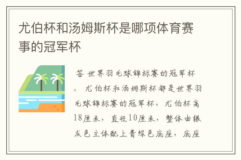 尤伯杯和汤姆斯杯是哪项体育赛事的冠军杯