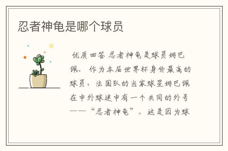 忍者神龟是哪个球员
