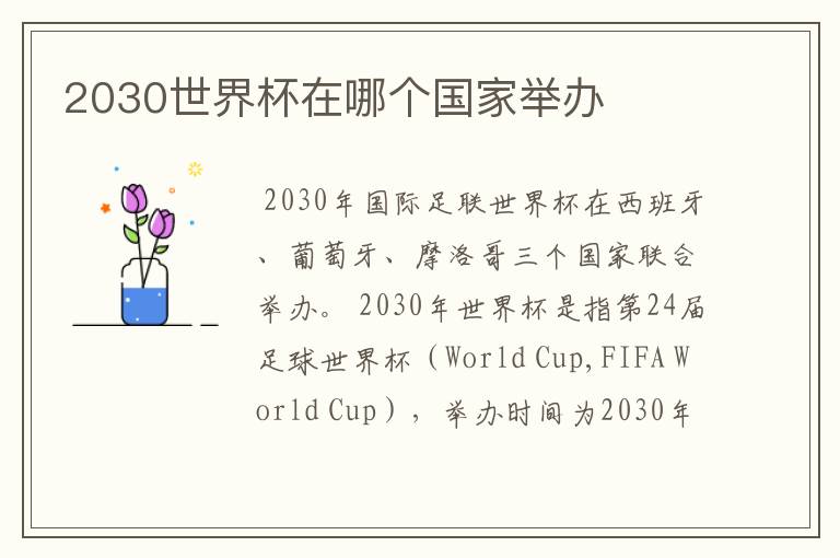 2030世界杯在哪个国家举办