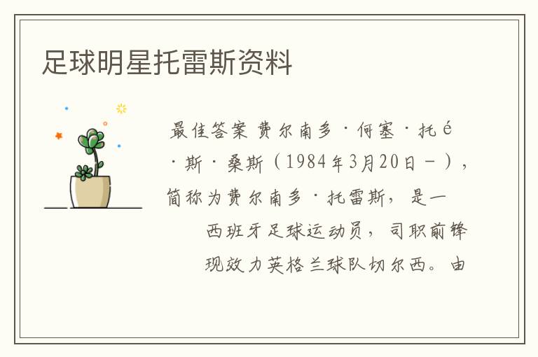 足球明星托雷斯资料