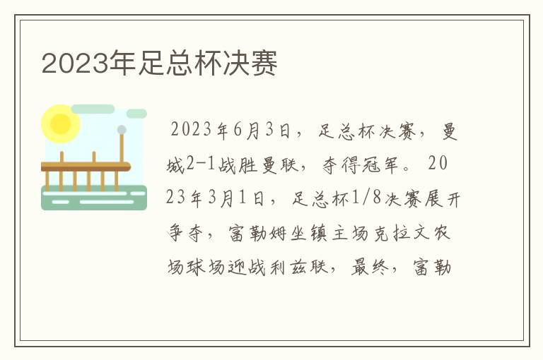 2023年足总杯决赛