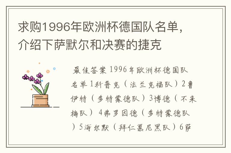 求购1996年欧洲杯德国队名单,介绍下萨默尔和决赛的捷克