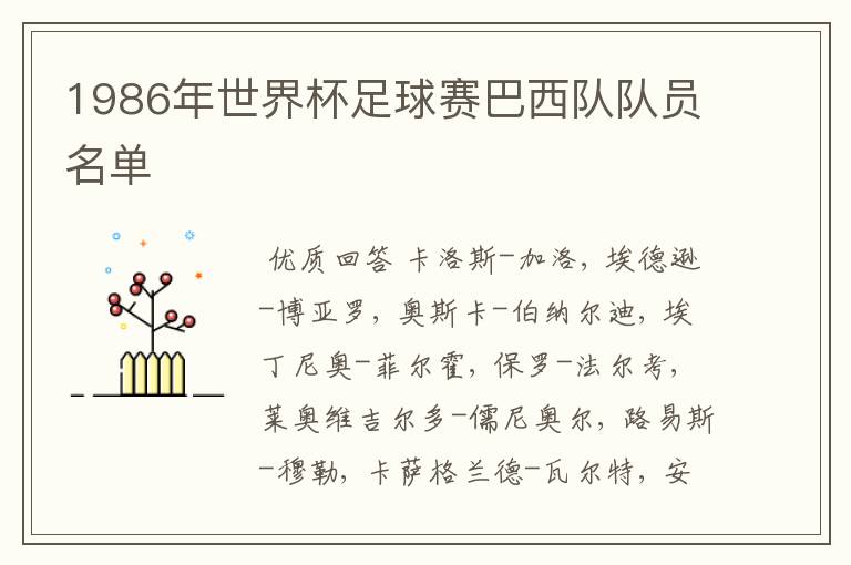 1986年世界杯足球赛巴西队队员名单