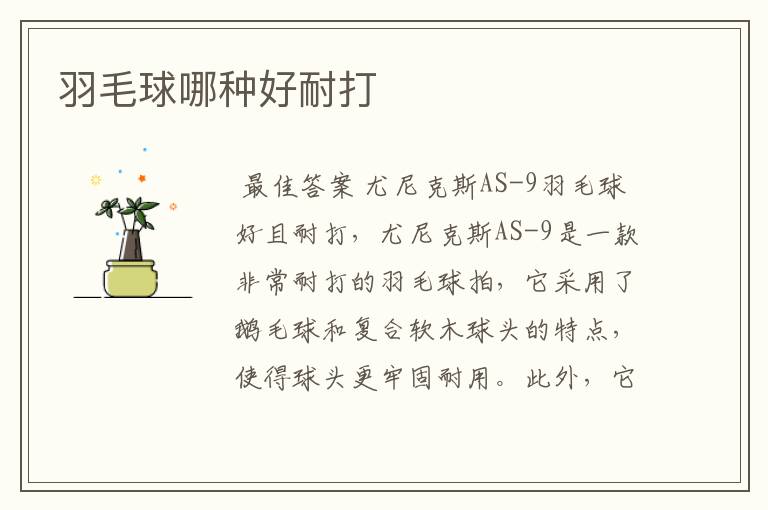 羽毛球哪种好耐打
