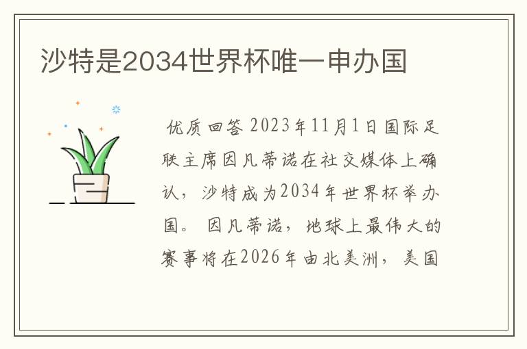 沙特是2034世界杯唯一申办国