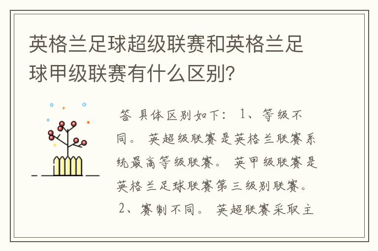 英格兰足球超级联赛和英格兰足球甲级联赛有什么区别?