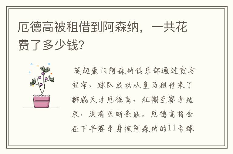 厄德高被租借到阿森纳,一共花费了多少钱?