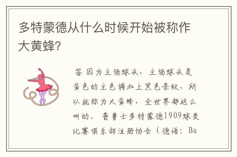 多特蒙德从什么时候开始被称作大黄蜂?