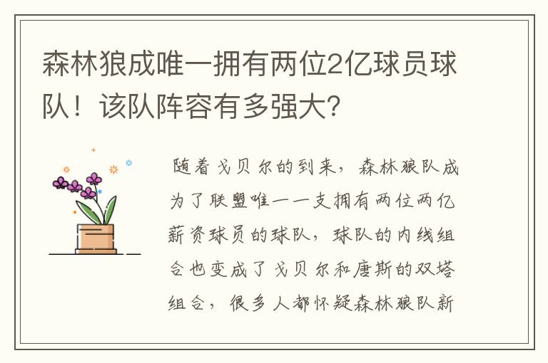森林狼成唯一拥有两位2亿球员球队!该队阵容有多强大?
