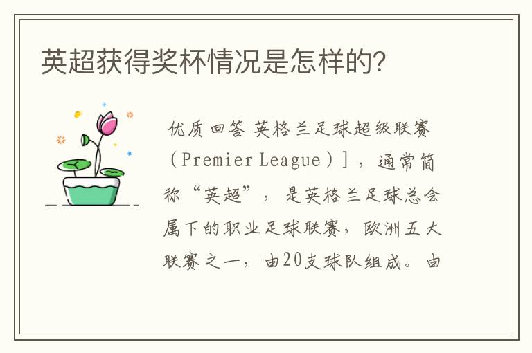 英超获得奖杯情况是怎样的?
