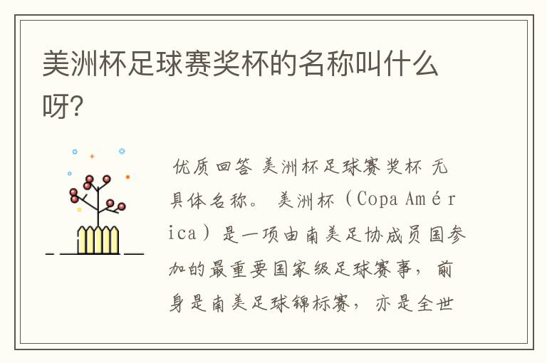 美洲杯足球赛奖杯的名称叫什么呀?