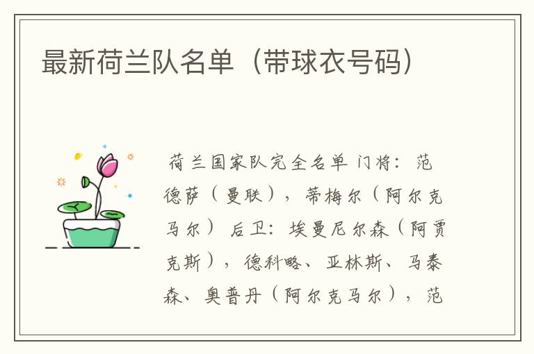最新荷兰队名单(带球衣号码)