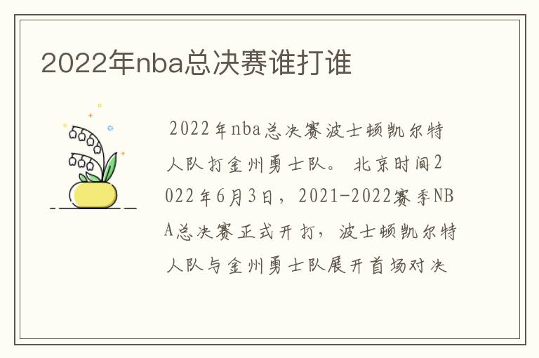 2022年nba总决赛谁打谁