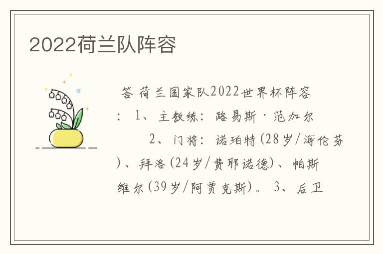 2022荷兰队阵容