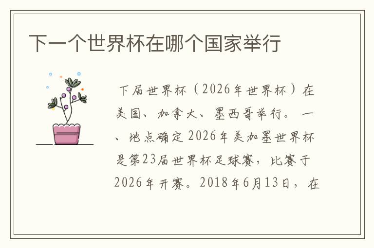 下一个世界杯在哪个国家举行