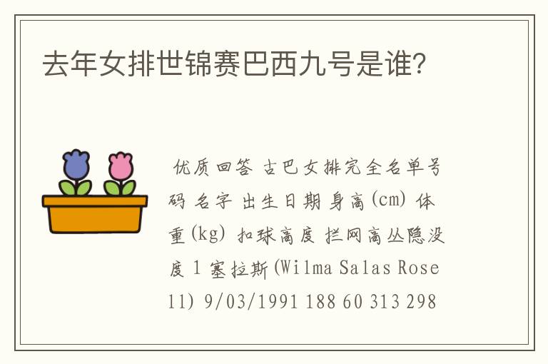 去年女排世锦赛巴西九号是谁?