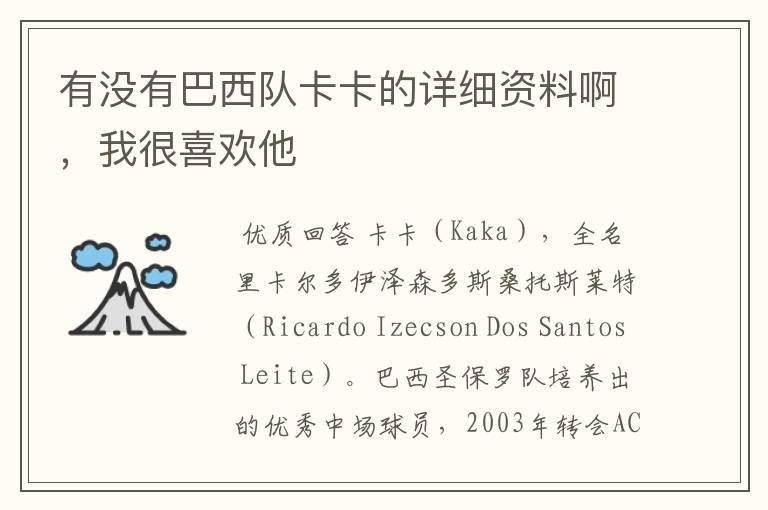 有没有巴西队卡卡的详细资料啊,我很喜欢他