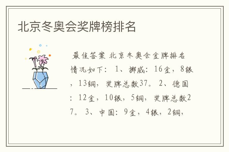 北京冬奥会奖牌榜排名