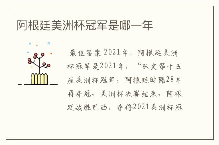 阿根廷美洲杯冠军是哪一年