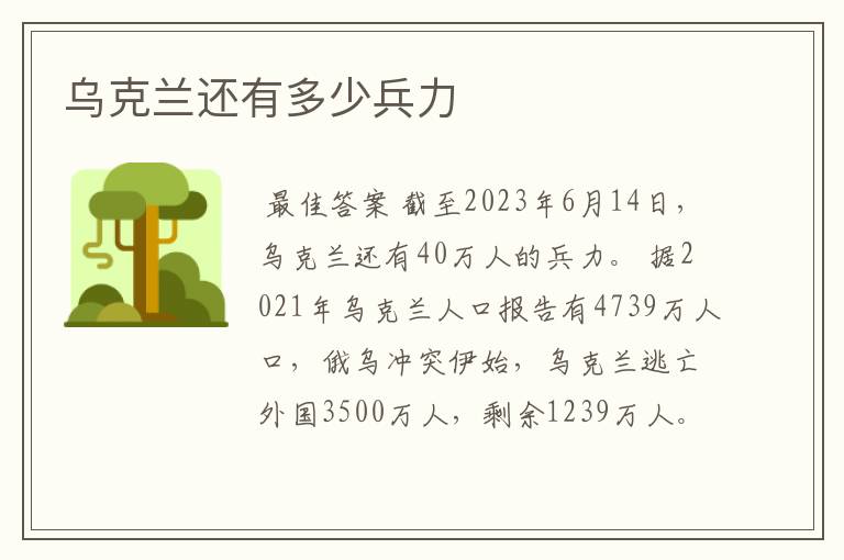 乌克兰还有多少兵力