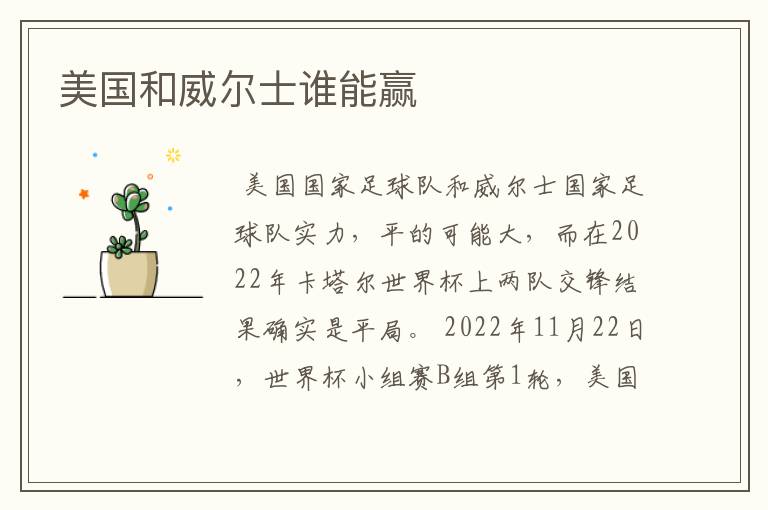 美国和威尔士谁能赢