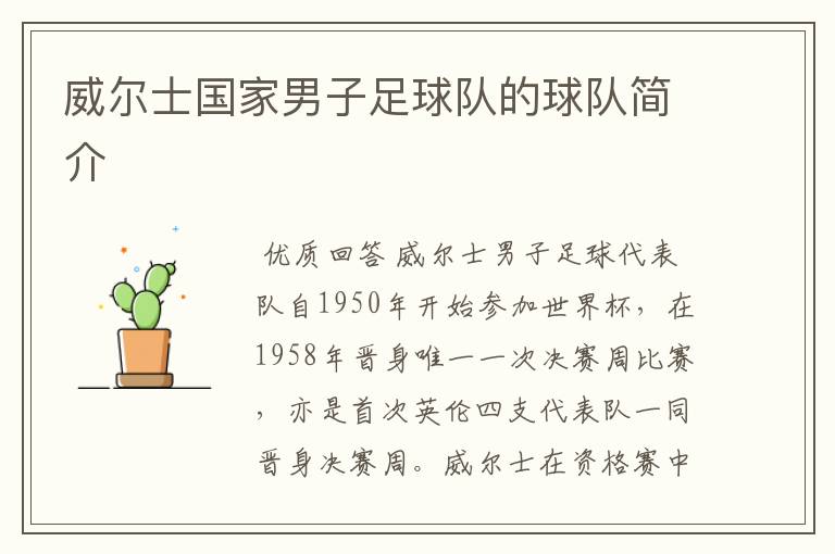 威尔士国家男子足球队的球队简介