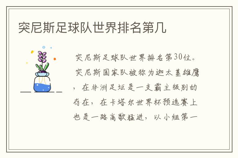 突尼斯足球队世界排名第几