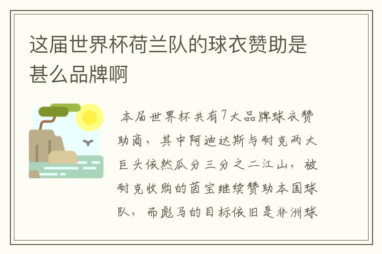 这届世界杯荷兰队的球衣赞助是甚么品牌啊