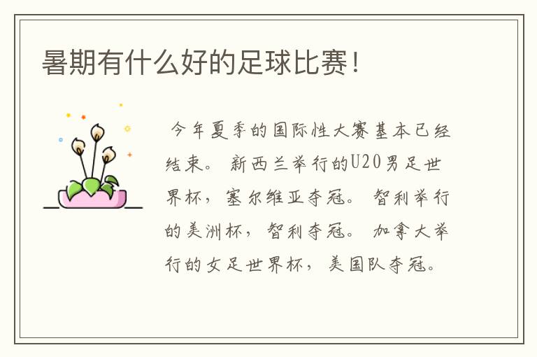 暑期有什么好的足球比赛!