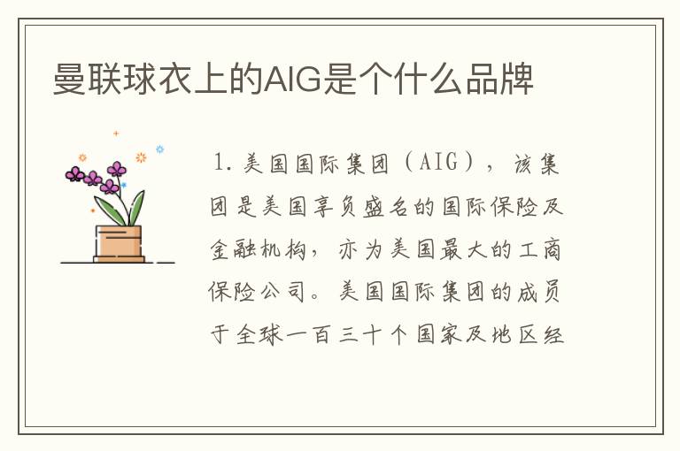 曼联球衣上的AIG是个什么品牌