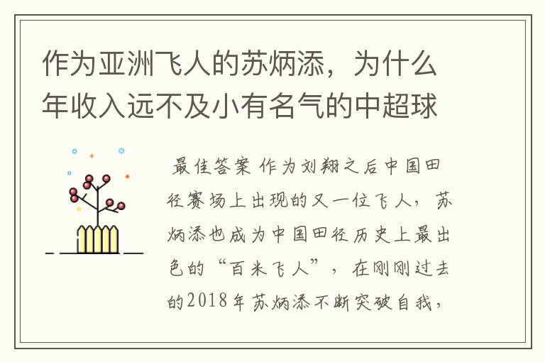 作为亚洲飞人的苏炳添,为什么年收入远不及小有名气的中超球员?