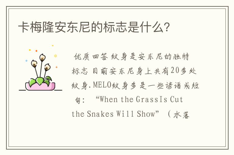 卡梅隆安东尼的标志是什么？