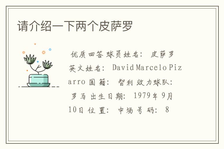 请介绍一下两个皮萨罗