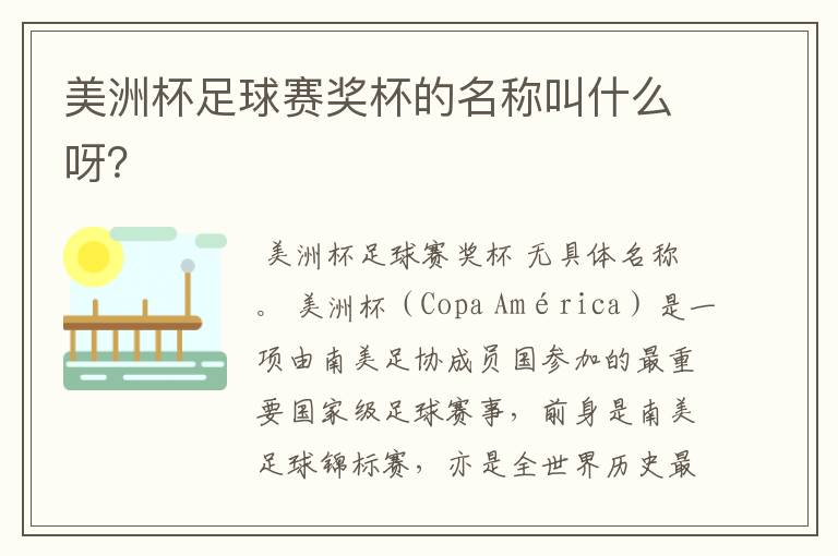 美洲杯足球赛奖杯的名称叫什么呀?