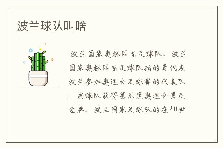 波兰球队叫啥