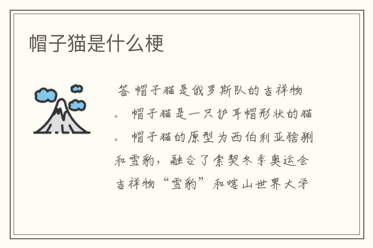 帽子猫是什么梗