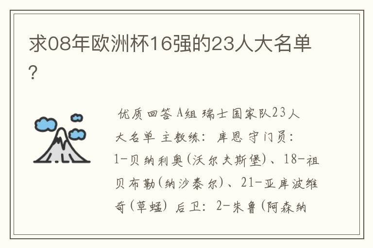 求08年欧洲杯16强的23人大名单?