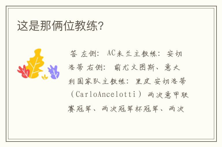 这是那俩位教练?