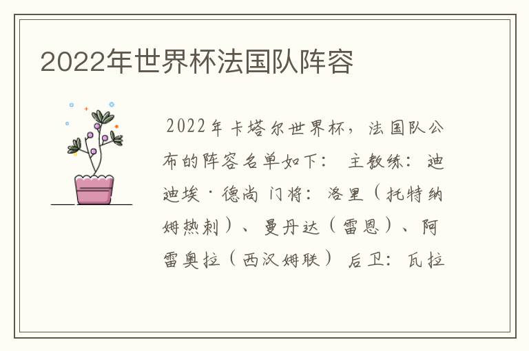 2022年世界杯法国队阵容