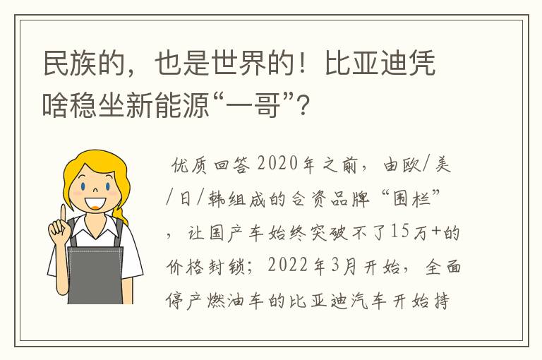 民族的，也是世界的！比亚迪凭啥稳坐新能源“一哥”？