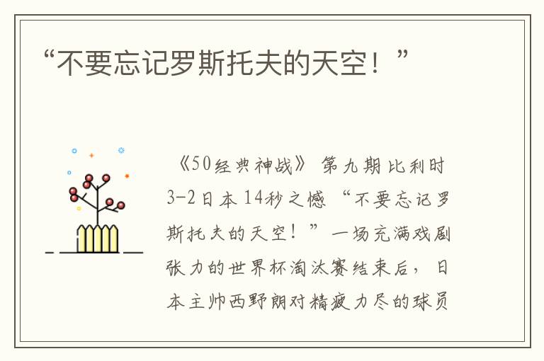 “不要忘记罗斯托夫的天空!”