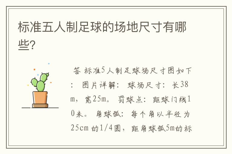 标准五人制足球的场地尺寸有哪些?