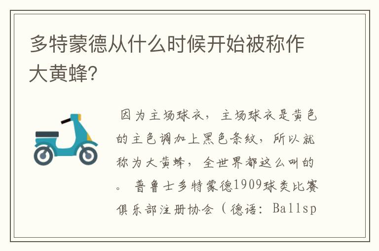 多特蒙德从什么时候开始被称作大黄蜂?