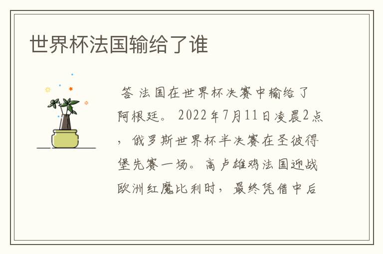 世界杯法国输给了谁