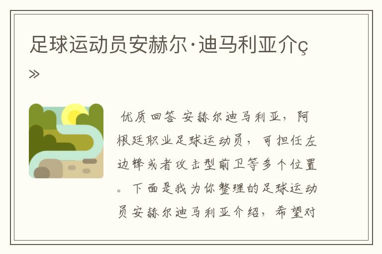 足球运动员安赫尔·迪马利亚介绍