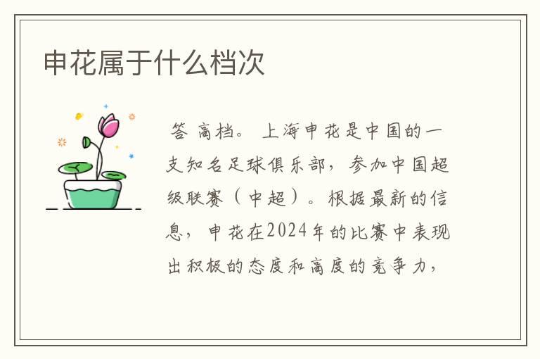 申花属于什么档次