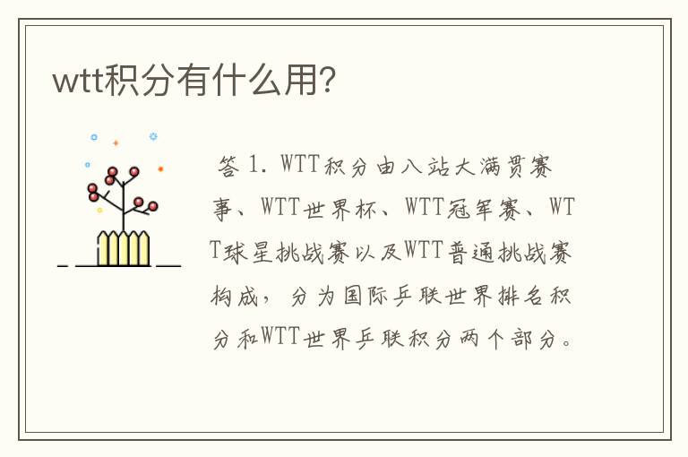 wtt积分有什么用？