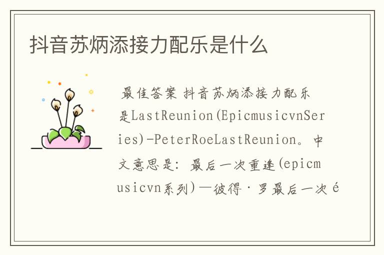 抖音苏炳添接力配乐是什么