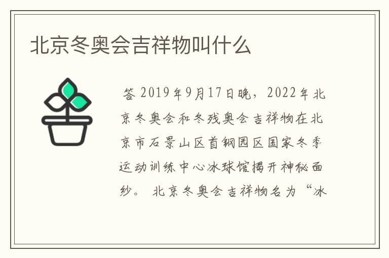 北京冬奥会吉祥物叫什么